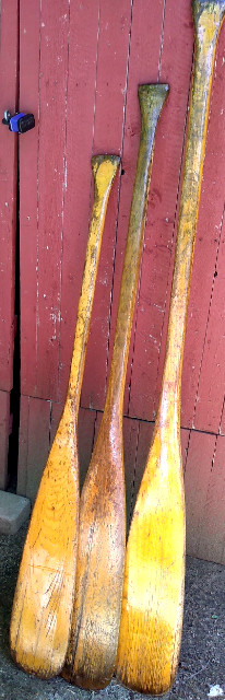 Canoe paddles by a shed. Photograph by Kirsten Jerry.