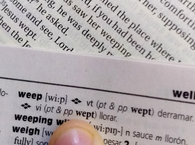 Looking up Spanish for "wept." Photograph by Kirsten Jerry.